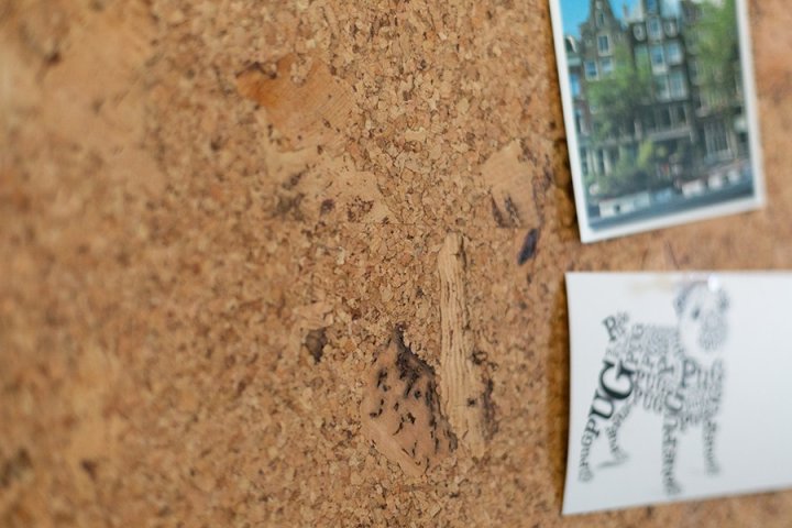 Фото проекта «Мансарда со стеклянным куполом»